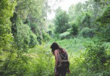 forest bathing